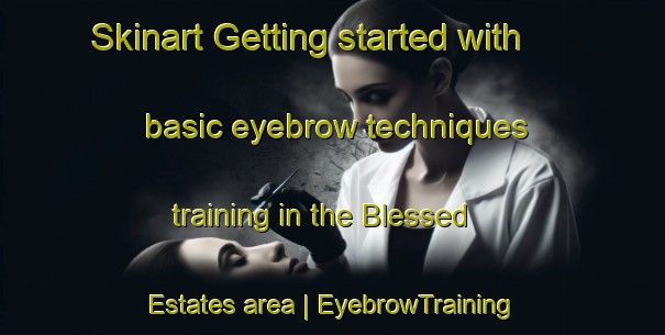 Skinart Getting started with basic eyebrow techniques training in the Blessed Estates area | EyebrowTraining | EyebrowClasses | SkinartTraining-United States